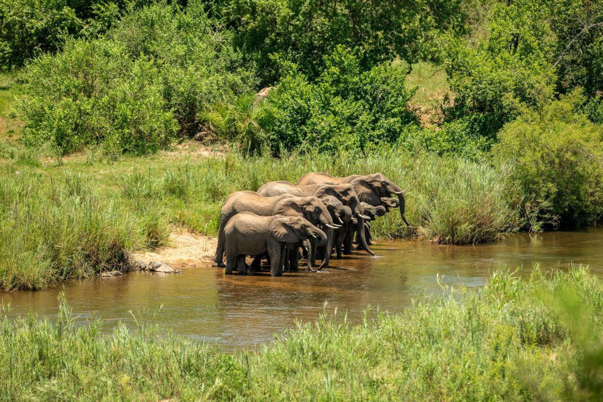 Leopard Sands Kruger Park Скукуза Екстериор снимка