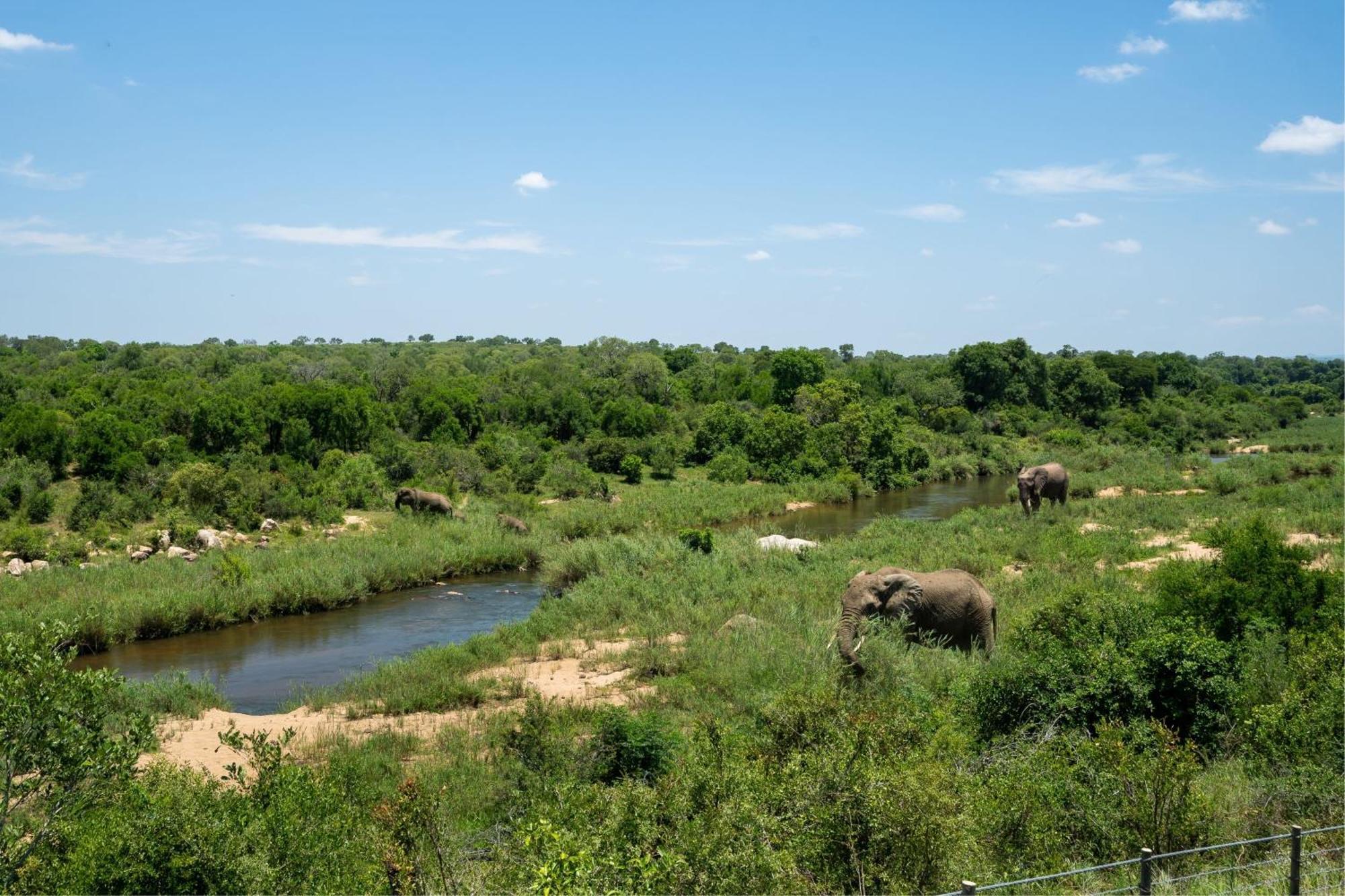 Leopard Sands Kruger Park Скукуза Екстериор снимка